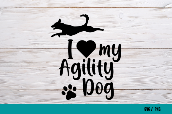Border Collie Agility Dog