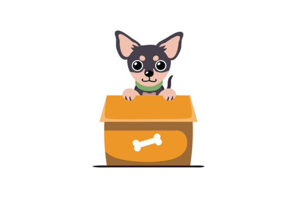 Dog Comes out of the Box
